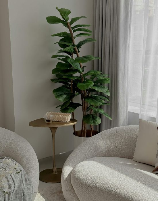 Indoor setting with modern, light-colored furniture, featuring a potted plant beside a small, round table with a decorative item, emphasizing a welcoming atmosphere for patients at NuSmile Implant Studio.